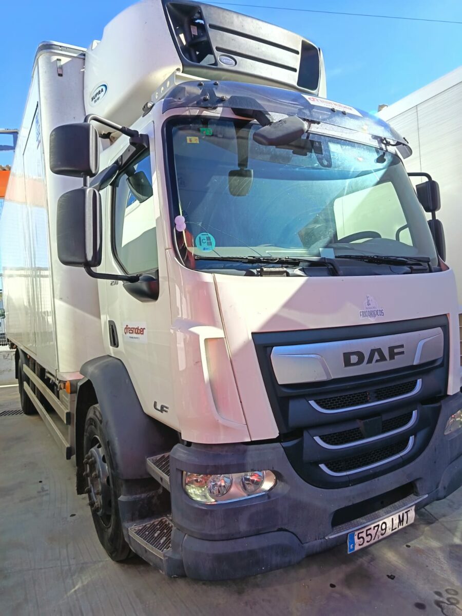 DAF - LF 290 FA 18T FRC E6 ETIQUETA C